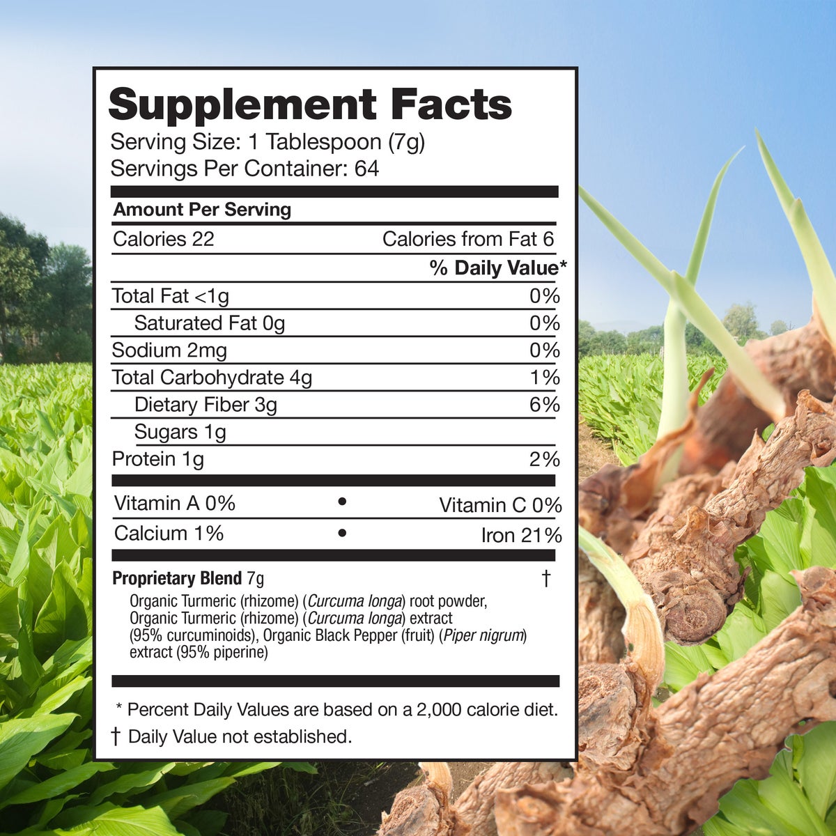 USDA organic turmeric powder supplement jar