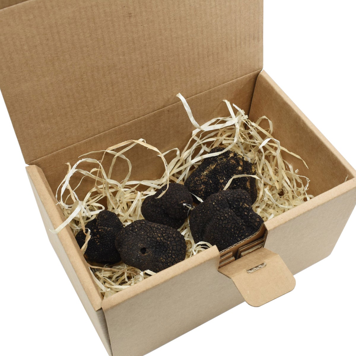 Natural summer truffles with varied size and color