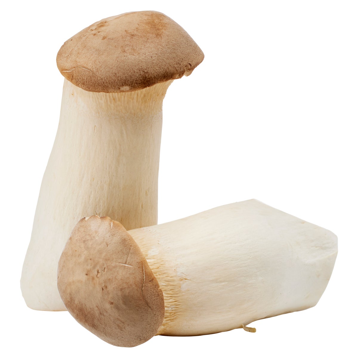 Northern Wild mushroom blend produce pack