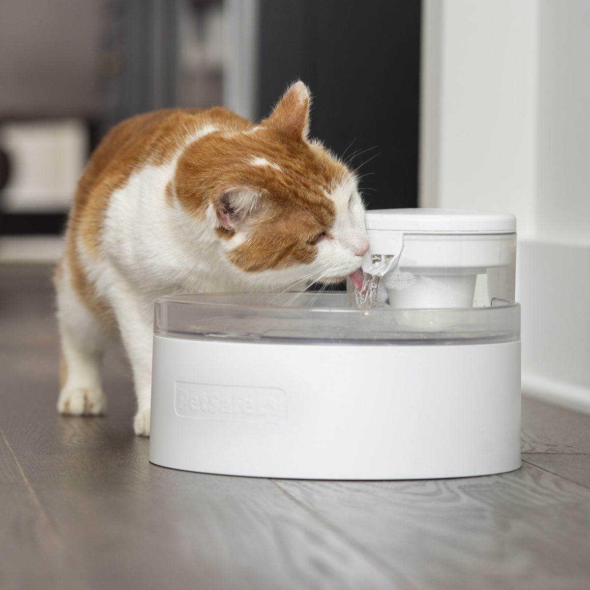 PetSafe Outlast fountain product view with accessories