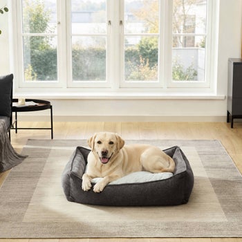 Brown Tempur-Pedic dog bed with faux fur surface