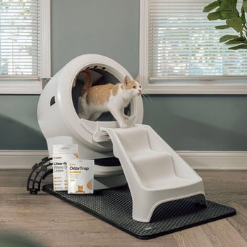 Whisker Litter-Robot 4 LitterHopper bundle for cats