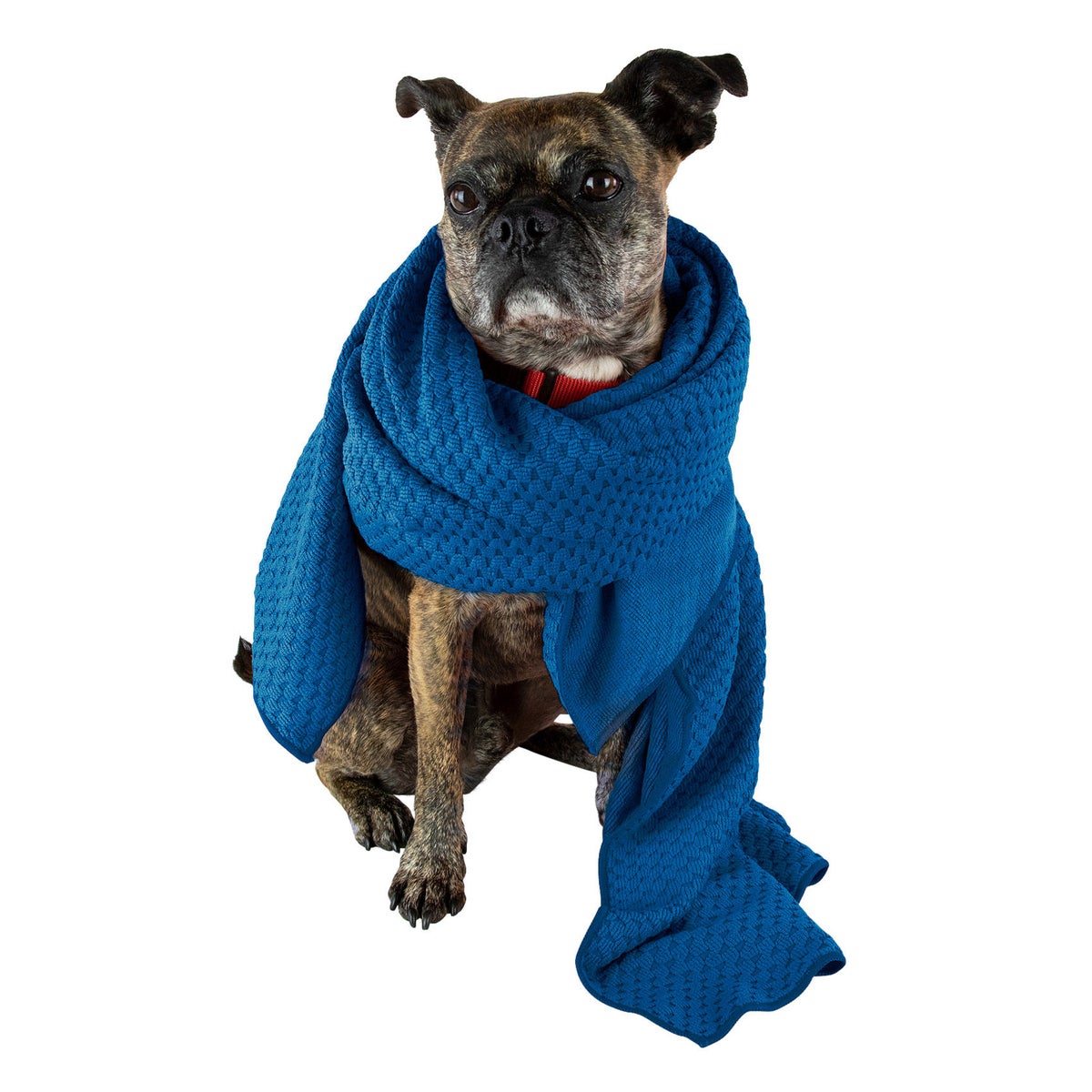 Nellie's pet grooming bundle for everyday use