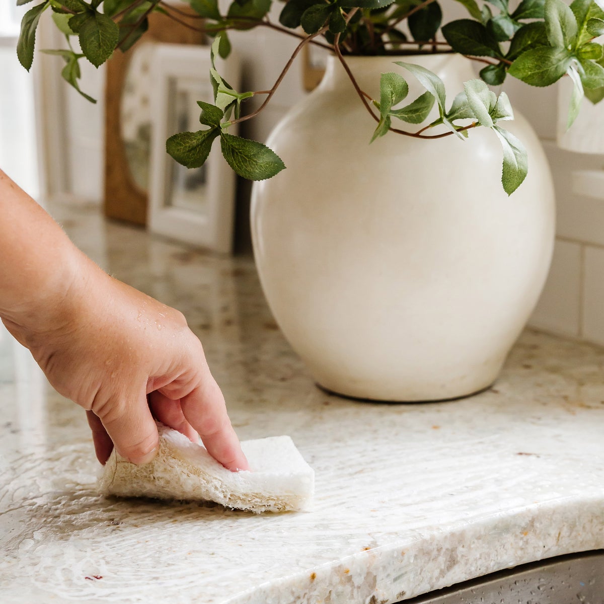 Full Circle 24-count heavy-duty sponge bundle