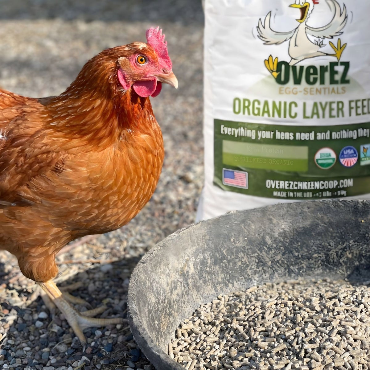 OverEZ layer feed for healthy hens