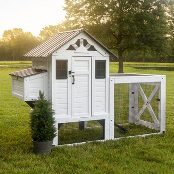 Backyard Discovery Cedar Roost white chicken coop with run
