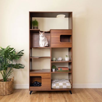 Clifford cat tree bookshelf with hideaway for cats
