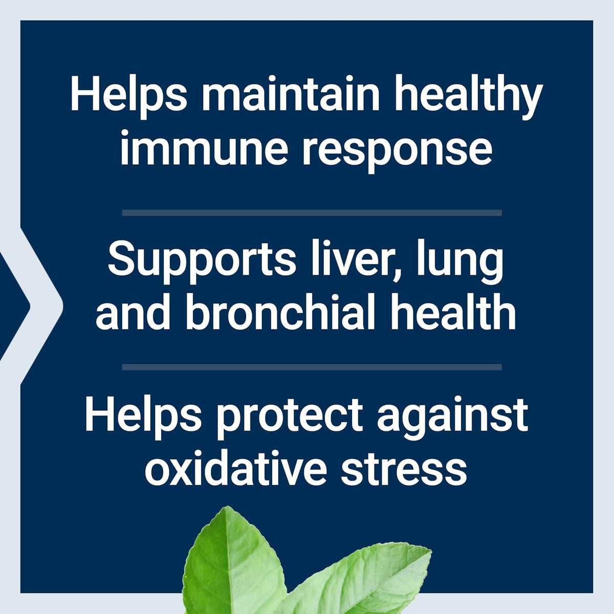 Life Extension amino acid supplement 60 capsules