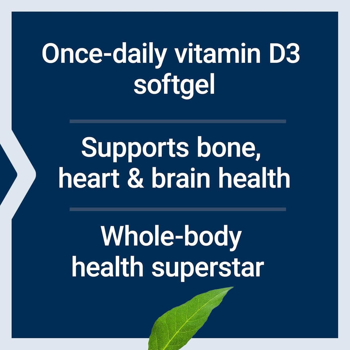 Life Extension daily wellness vitamin D3