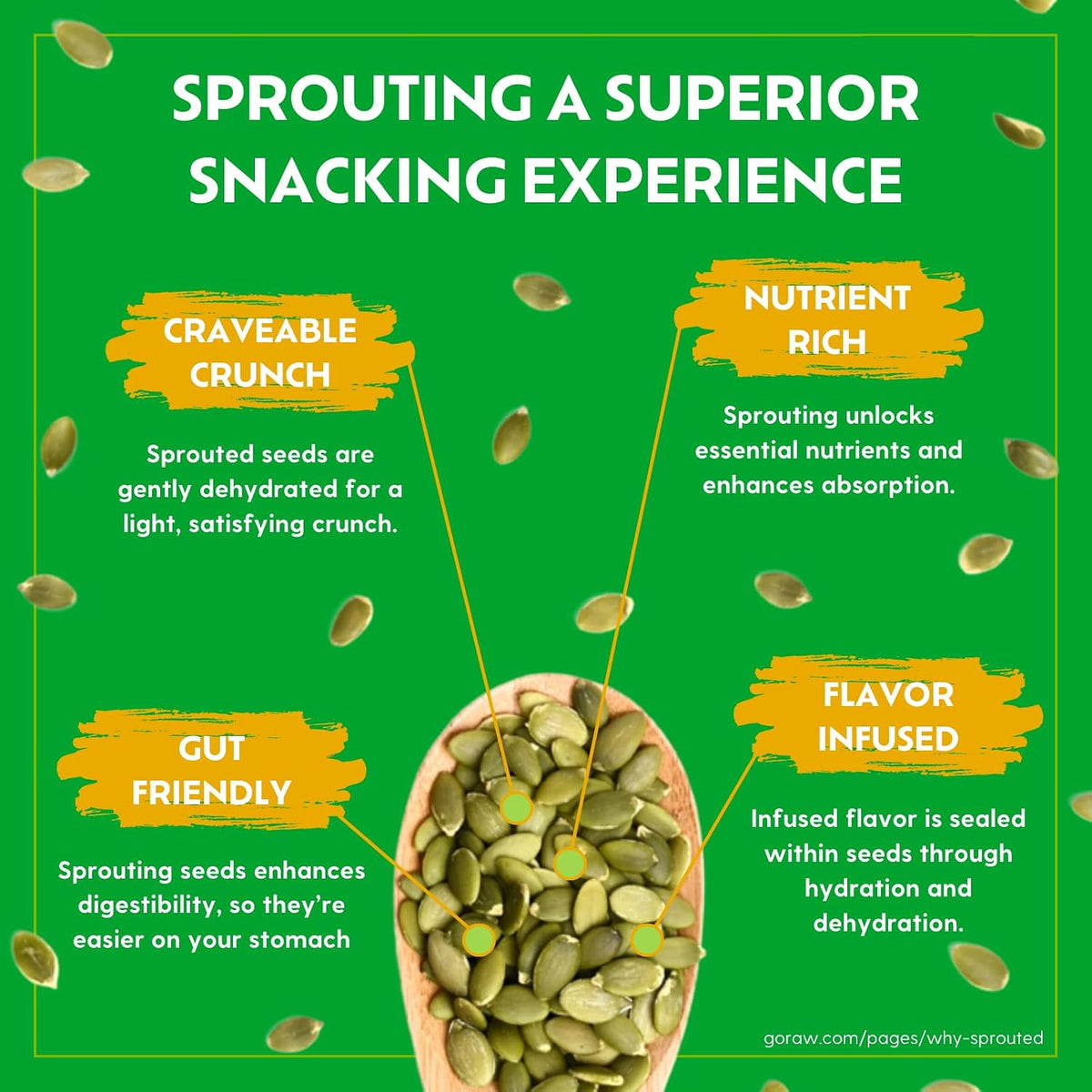 Go Raw sprouted sunflower seed snack