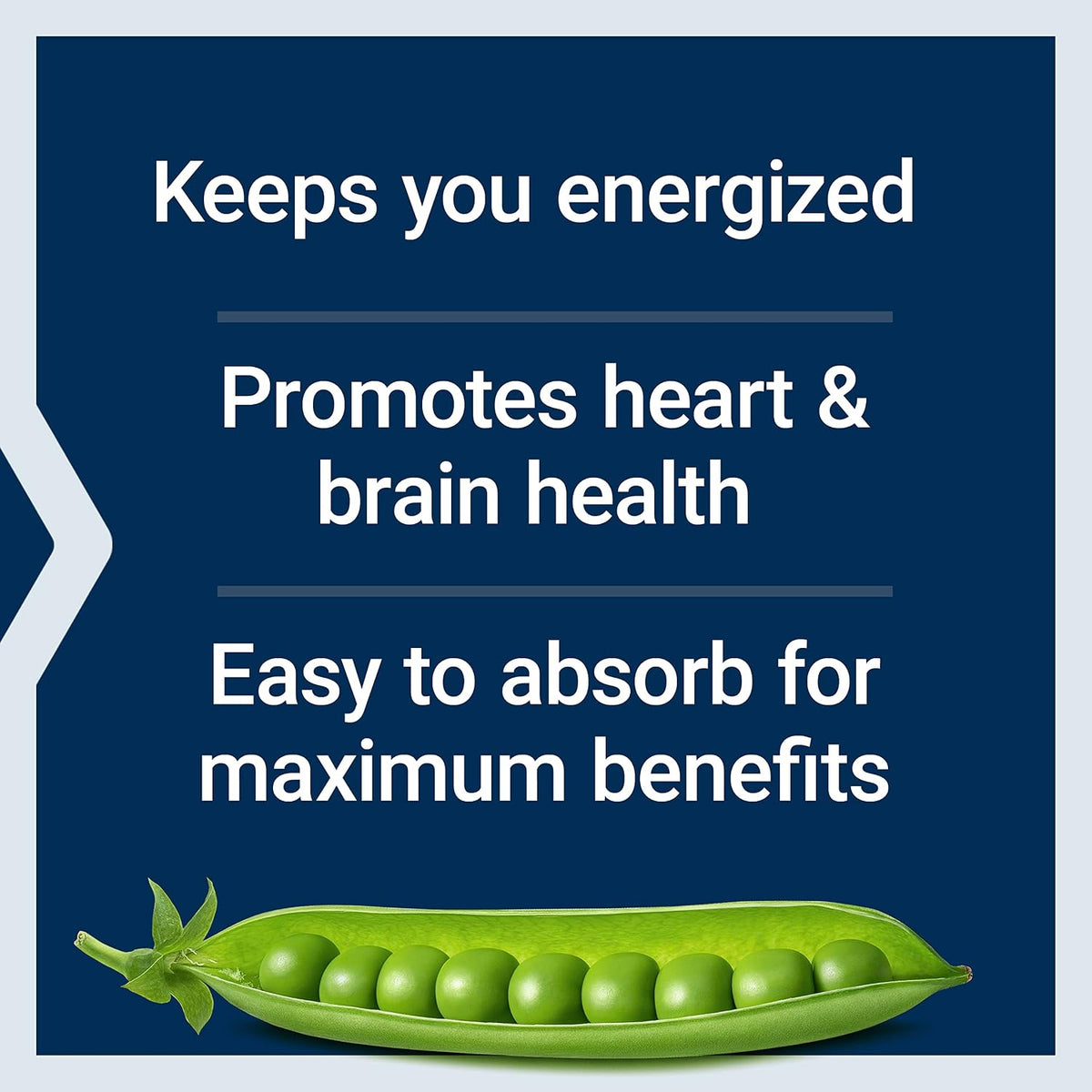 Vegetarian B-complex wellness supplement bottle