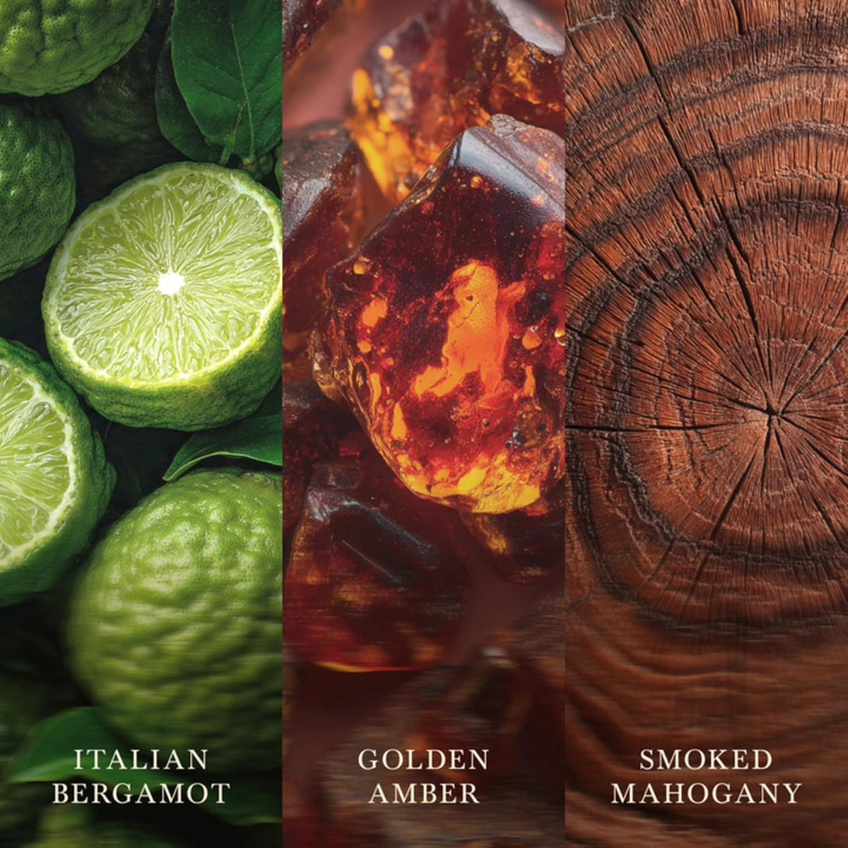 Fireside amber vetiver musk WoodWick candle