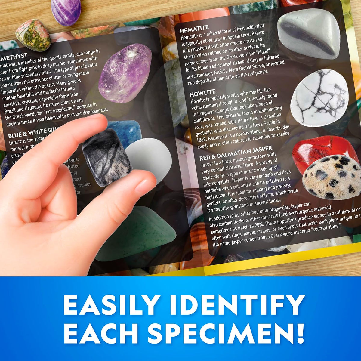 Educational STEM rock collection kit for children