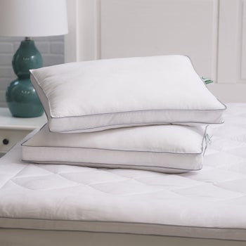 Allied Home MicronOne anti-allergen king pillows 2-pack