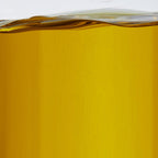 Kosher extra virgin Italian olive oil bottle