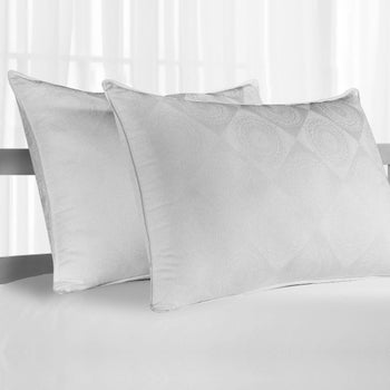 Live Comfortably Platinum king pillows 2-pack with cotton cover