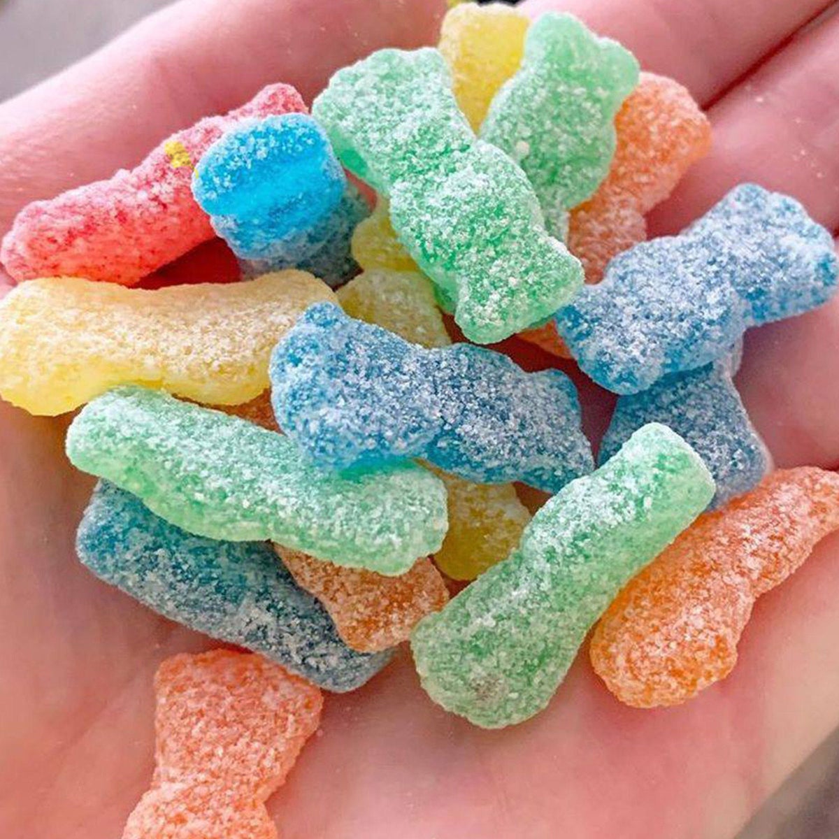 Seasonal Sour Patch Kids candy value pack