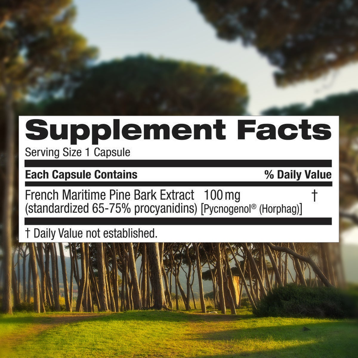 trunature 60 count Pycnogenol supplement capsules