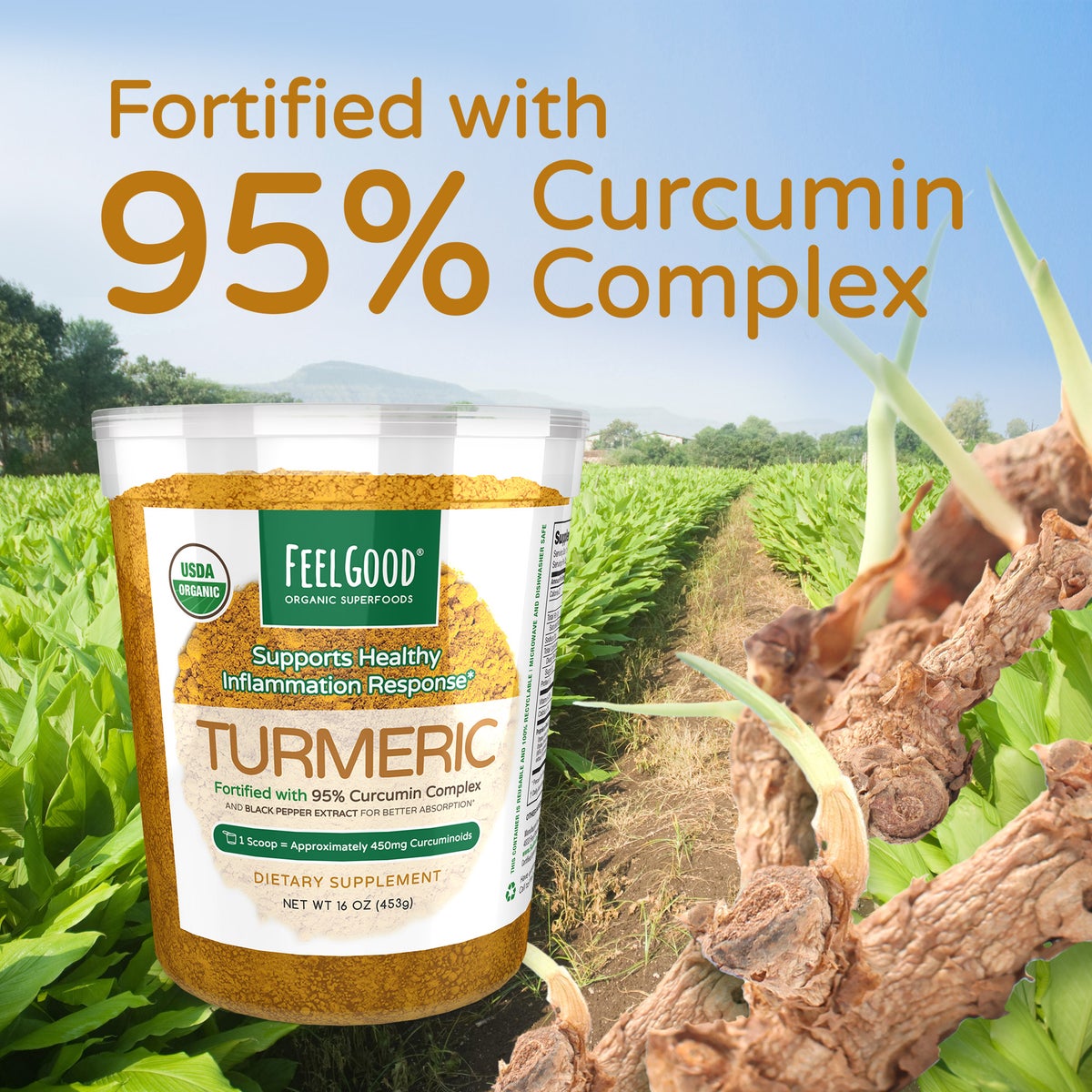 Organic turmeric powder with black pepper extract