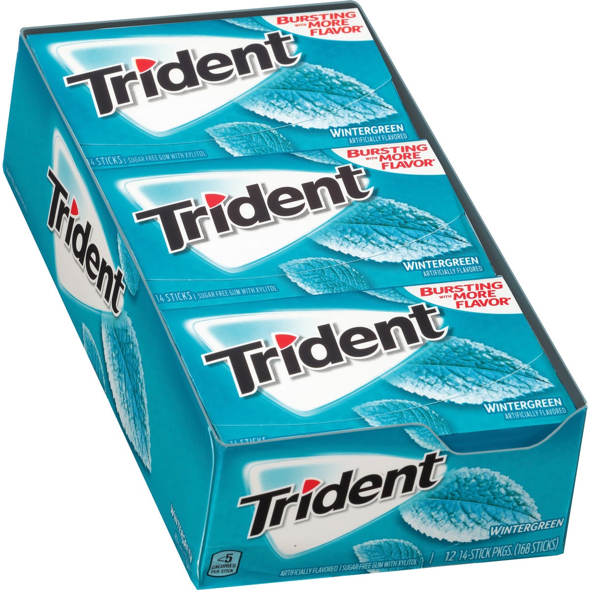 Trident sugar free wintergreen gum 12-count pack
