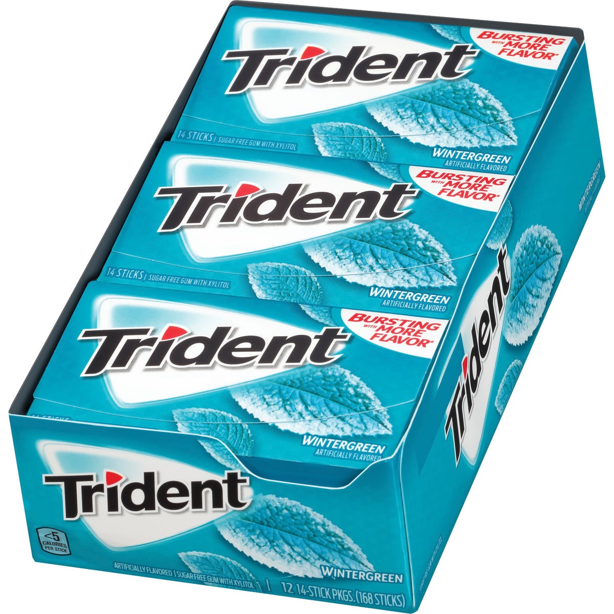 Trident sugar free gum value pack wintergreen