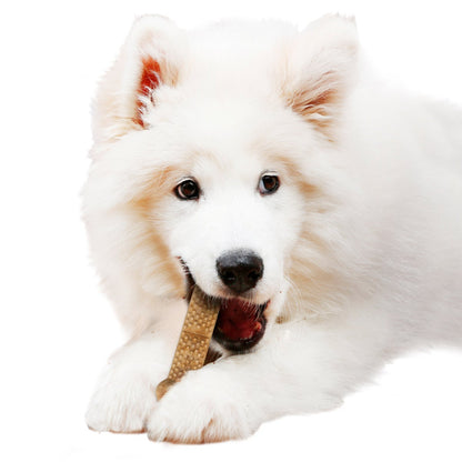 Made in USA Nylabone NUBZ chew bags