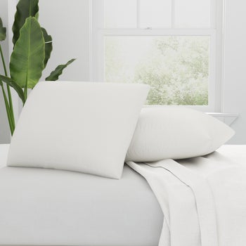 AllerEase organic cotton allergy protection king pillows 2-pack