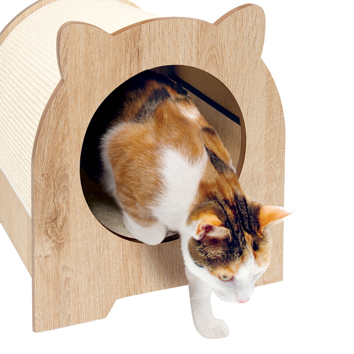 Stylish Catit Minou cat tree for lounging