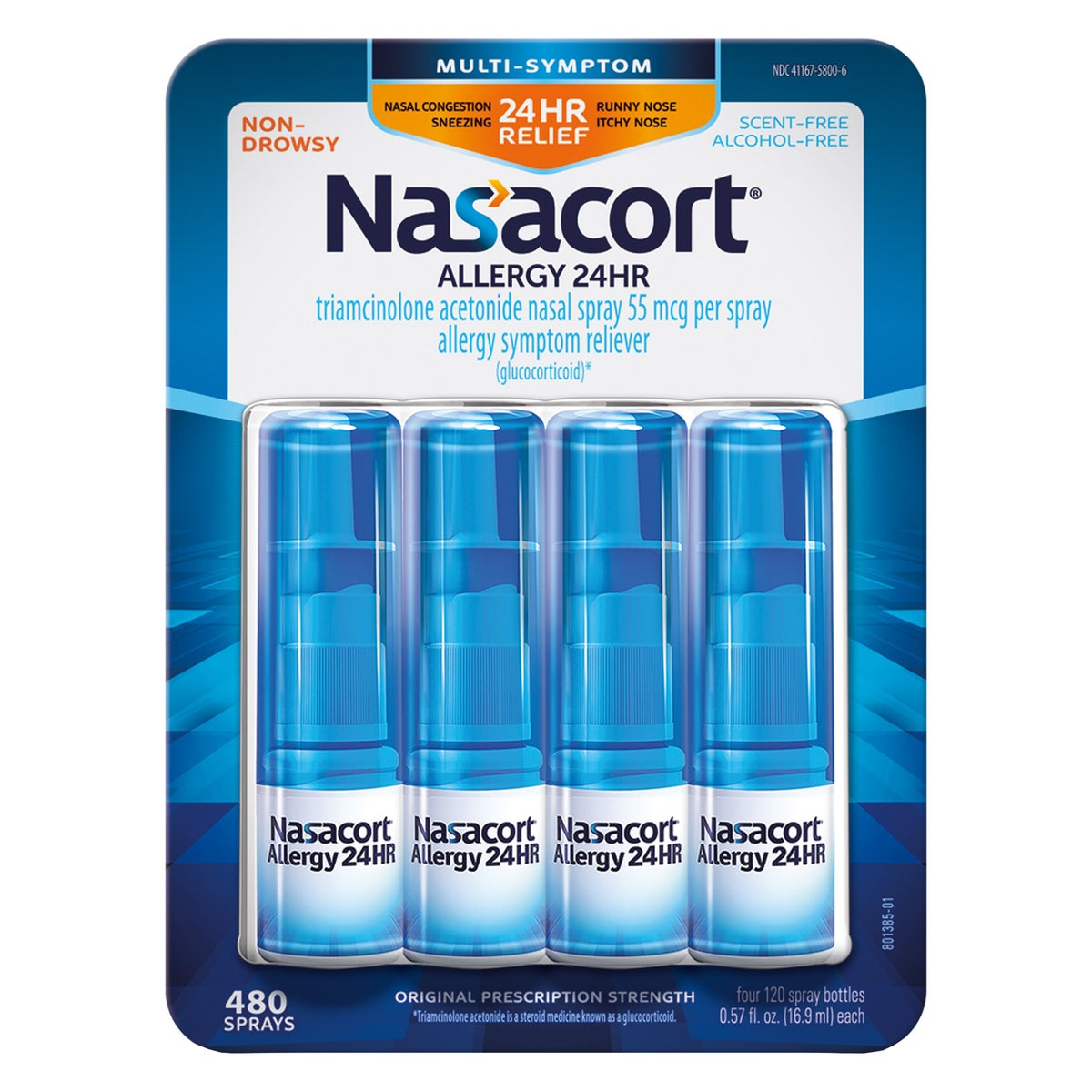 Nasacort Allergy 24 HR nasal spray 480 metered sprays
