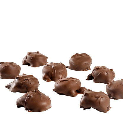 Milk chocolate pecan caramel clusters in value 2-pack