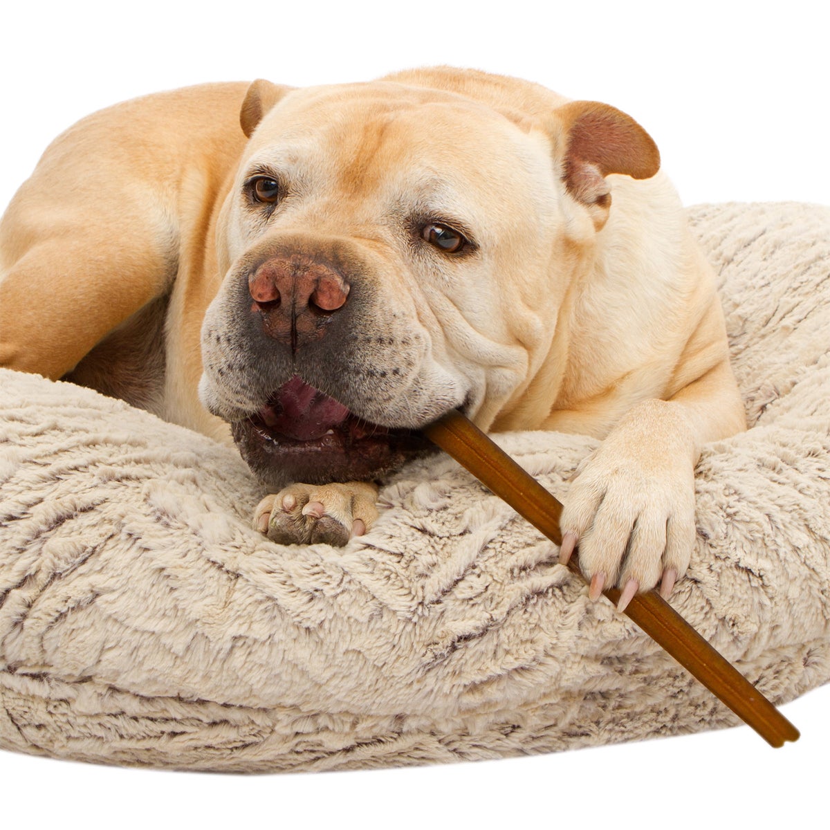 Cadet beef hide and bully stick wrapped dog chews