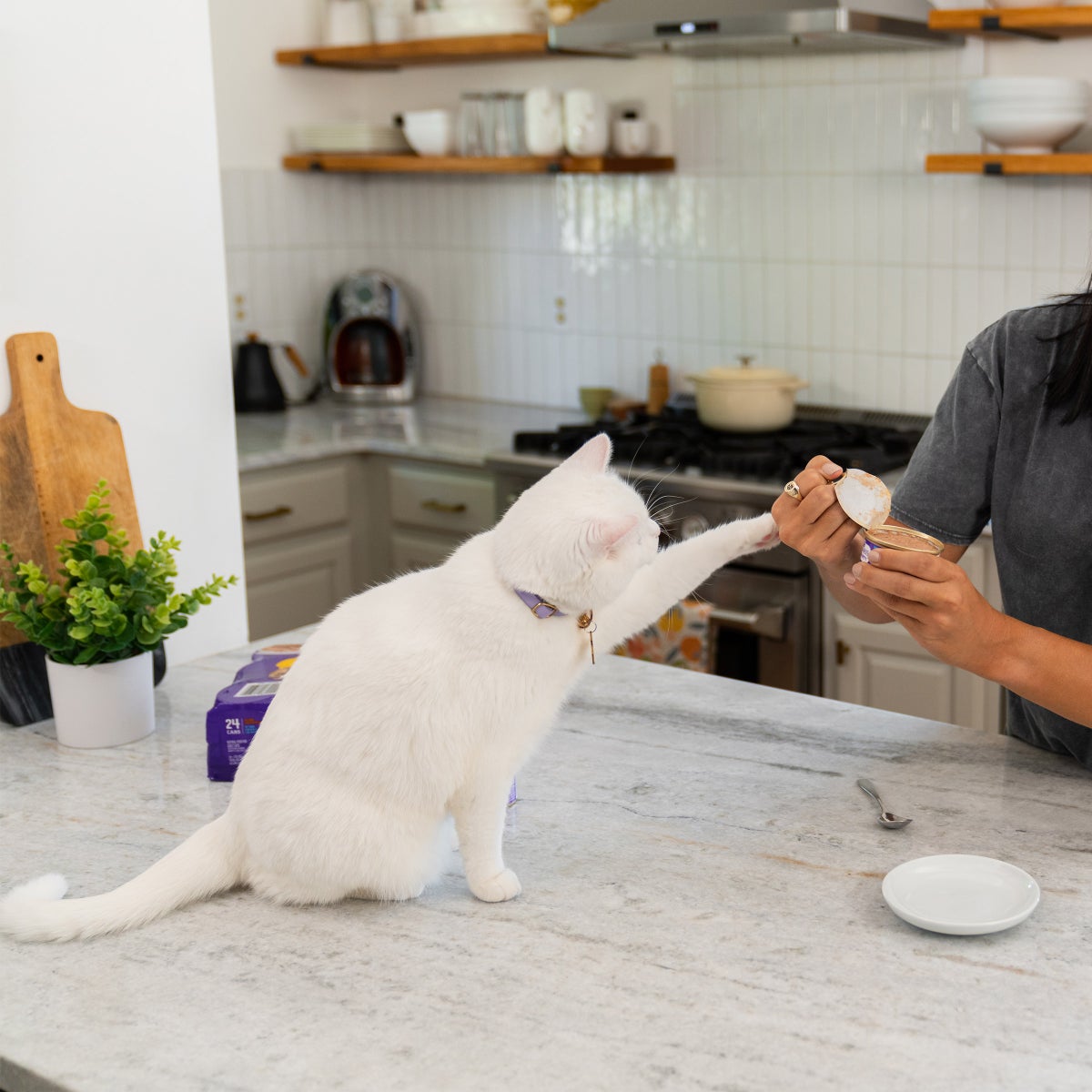 Wellness Good Kitty 24-count wet cat food for cats