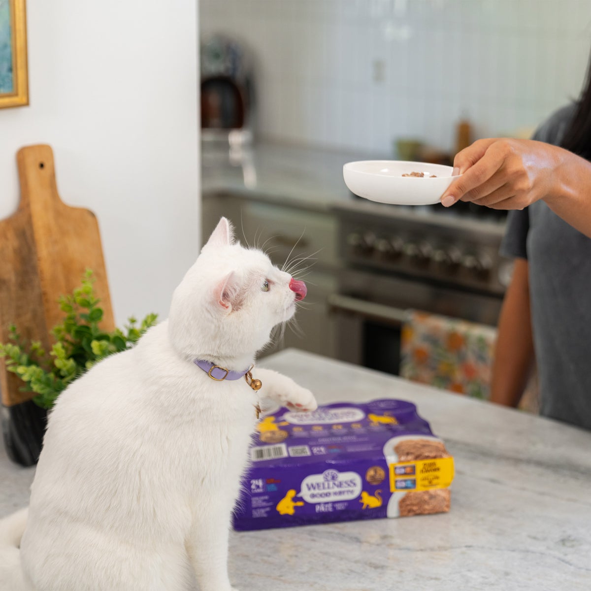 Wellness Good Kitty premium cat food variety pack packaging