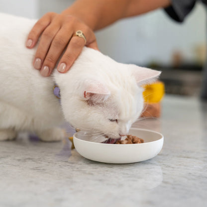 Wellness Good Kitty 3 oz wet cat food cans