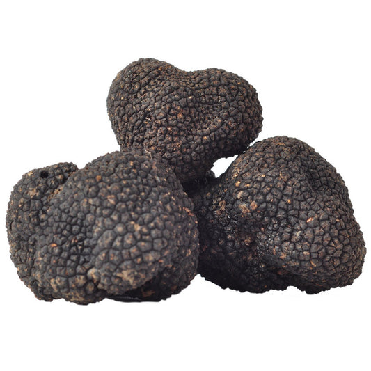 Packaged European summer truffles for gourmet cooking