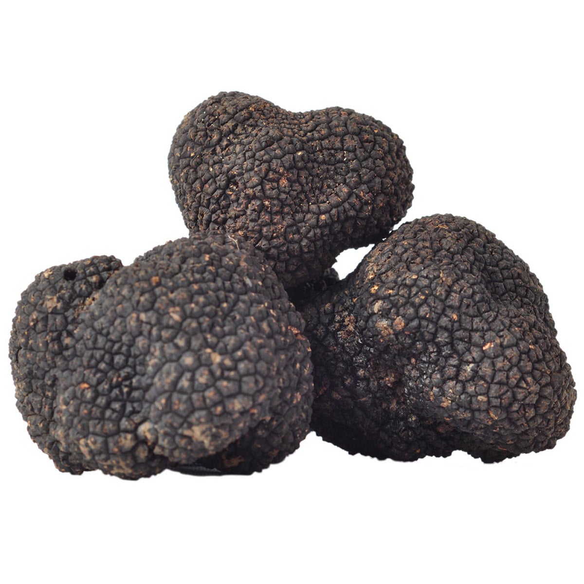 Fresh European summer truffles in 4 oz pack