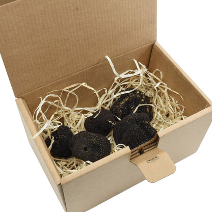 Natural summer truffles with varied size and color