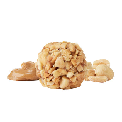 Dark chocolate peanut butter snack bites