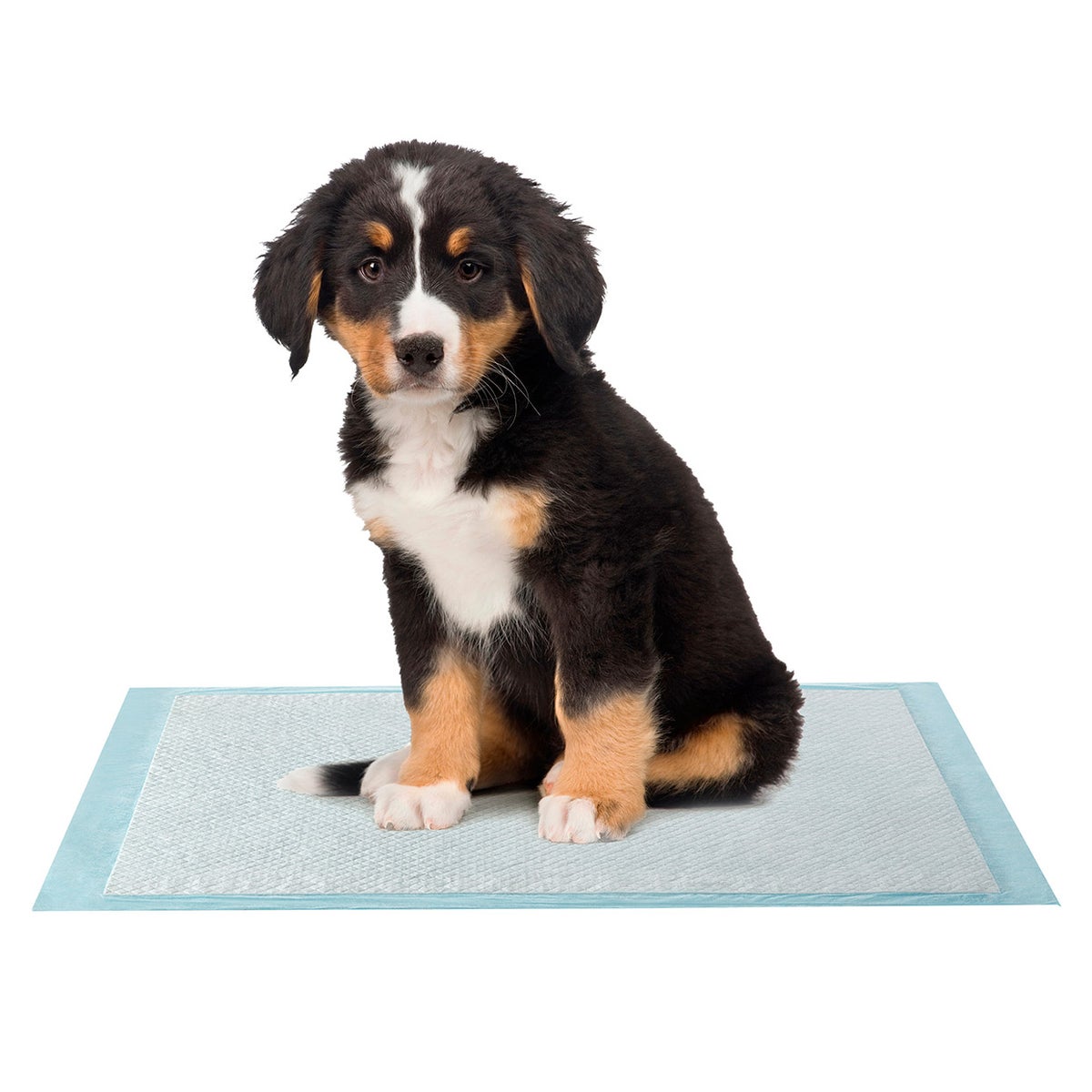 Leak-protective poly backing training pads