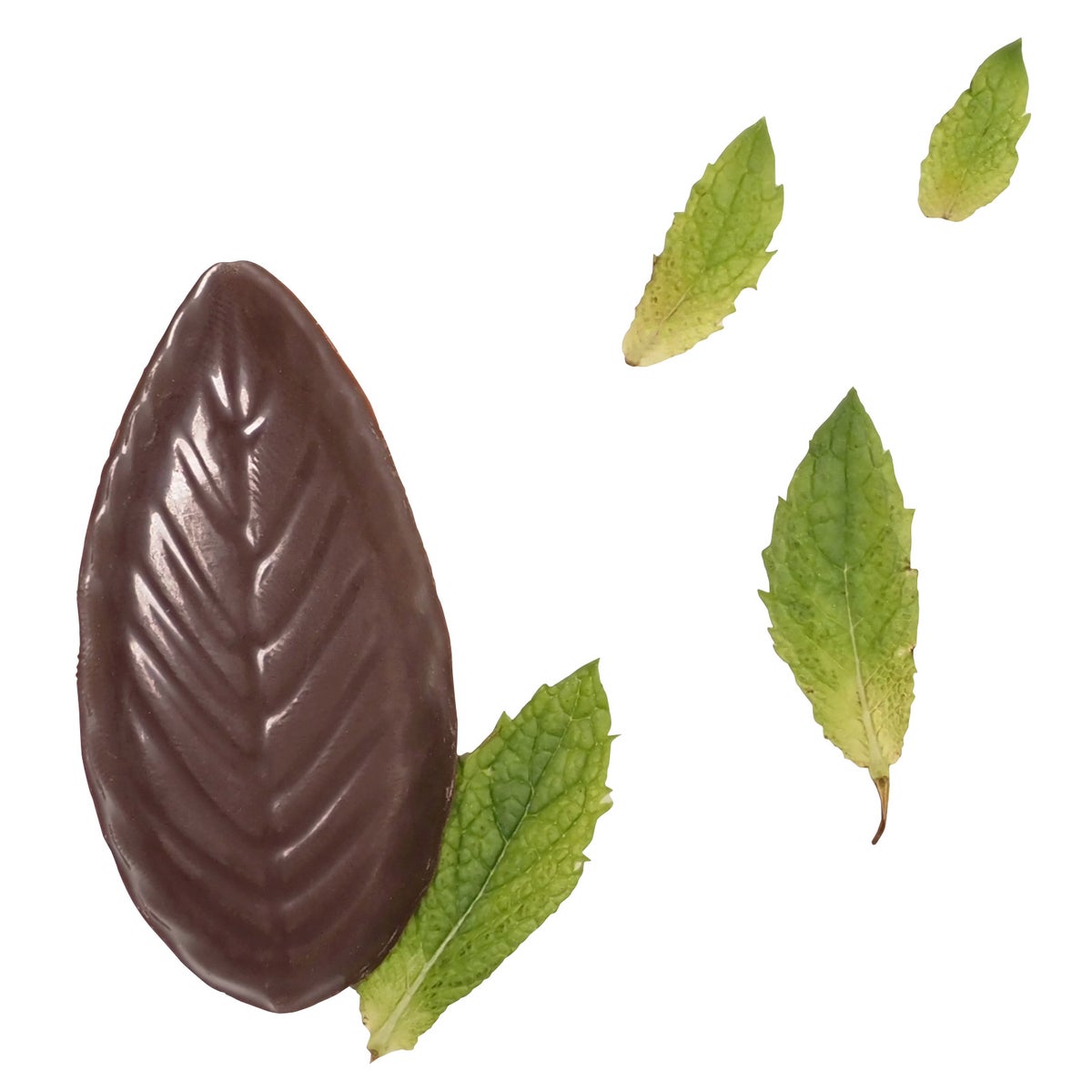 A'Cappella mint chocolate candy two boxes