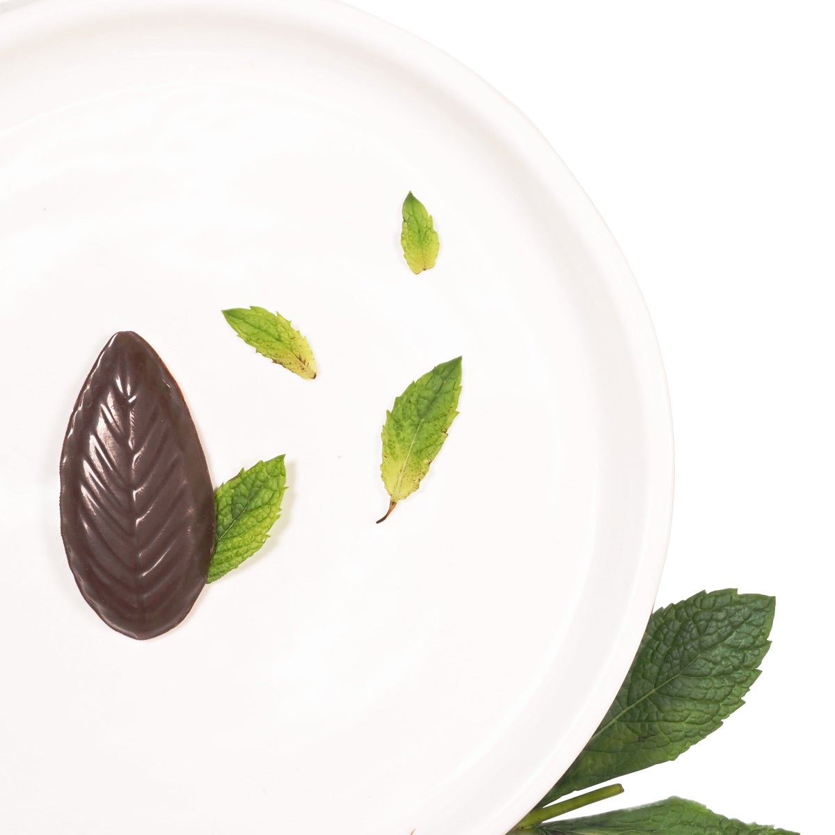 A'Cappella 22 mints per box detail