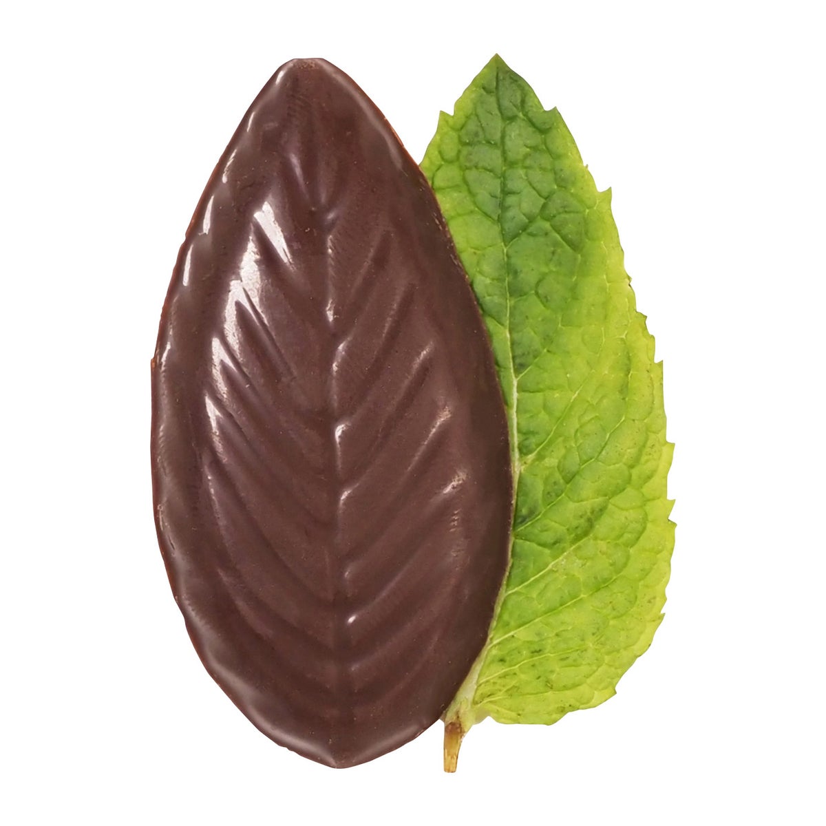 A'Cappella 5 oz. box of after dinner mints
