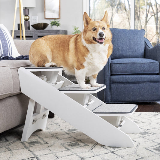 PetSafe CozyUp steps and ramp combo
