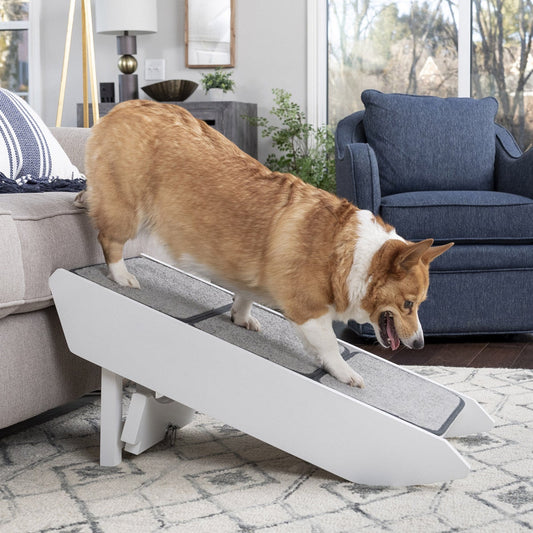Convertible pet ramp for beds and couches