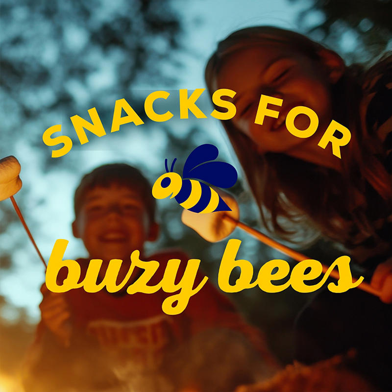 Real honey graham crackers multi-pack