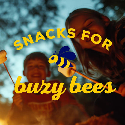 Real honey graham crackers multi-pack