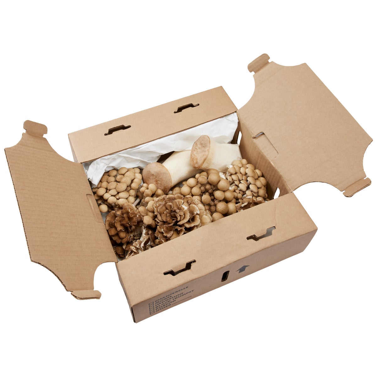 King oyster, maitake, and French horn mushrooms
