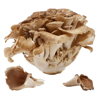 Premium cultivated mushrooms for cooking