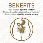 Garden of Life 15 billion CFU probiotic formula