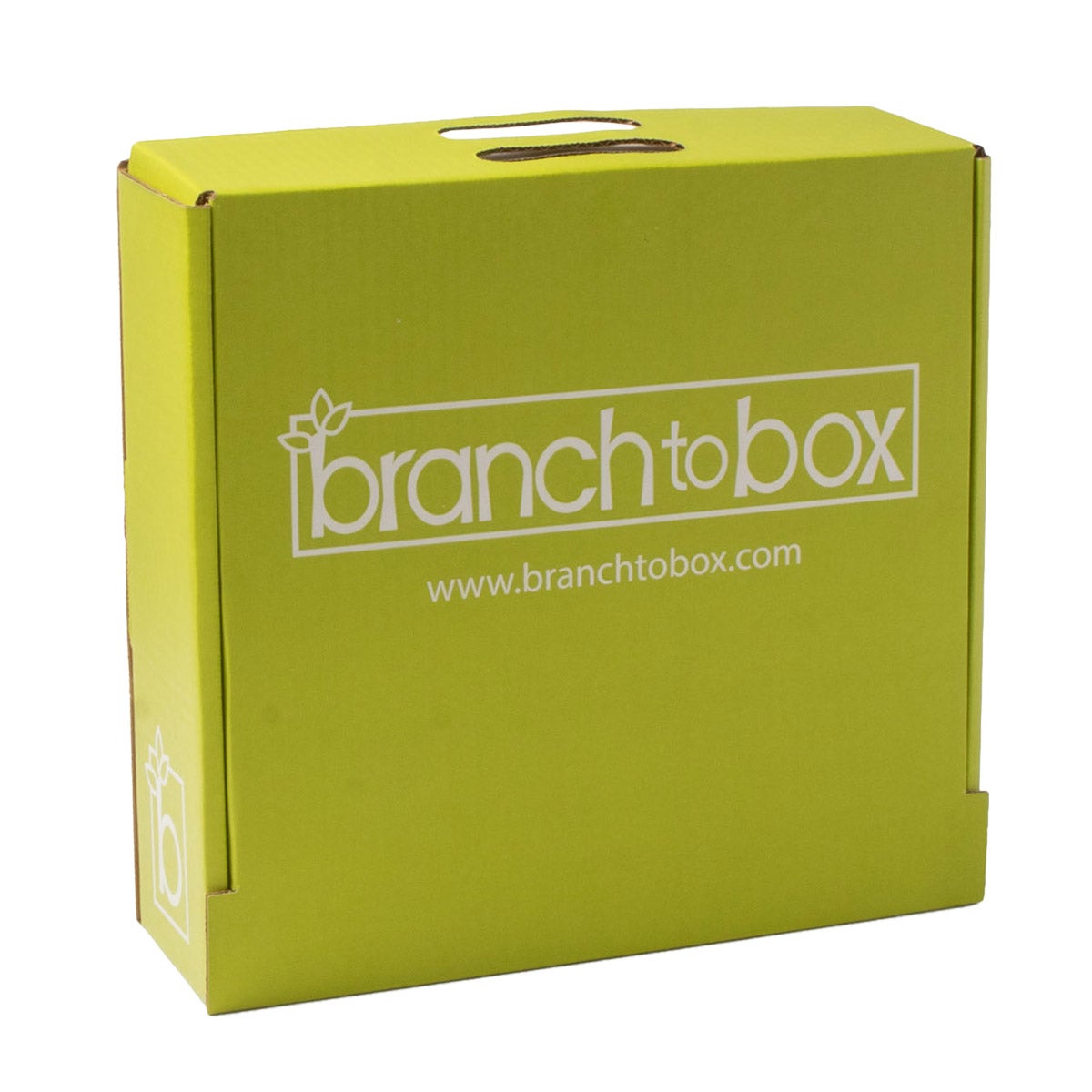 Branch to Box snack box with 48 packs